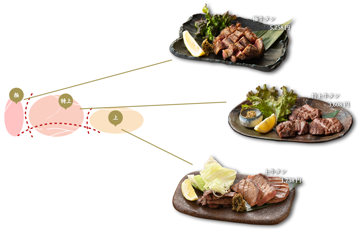 部位について画像